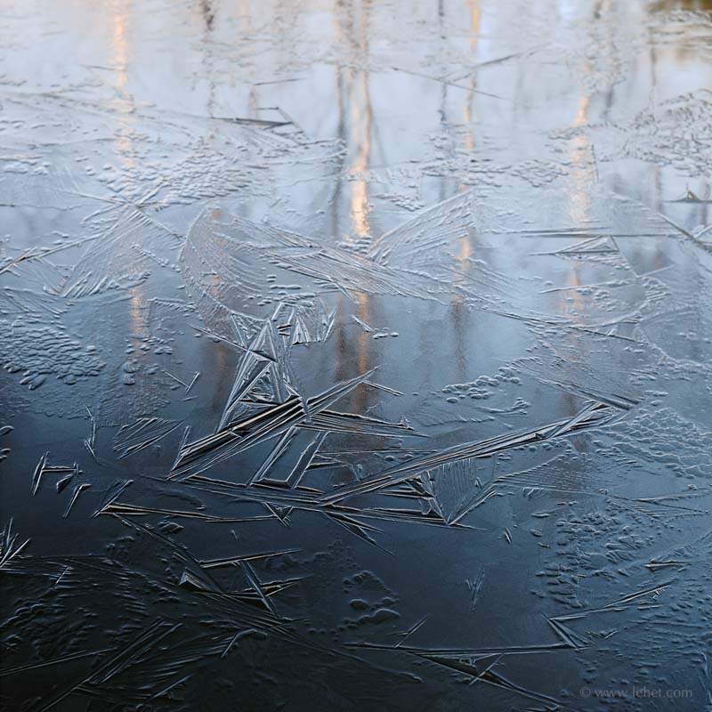 New Ice and Birch Reflections 2015,Dawn