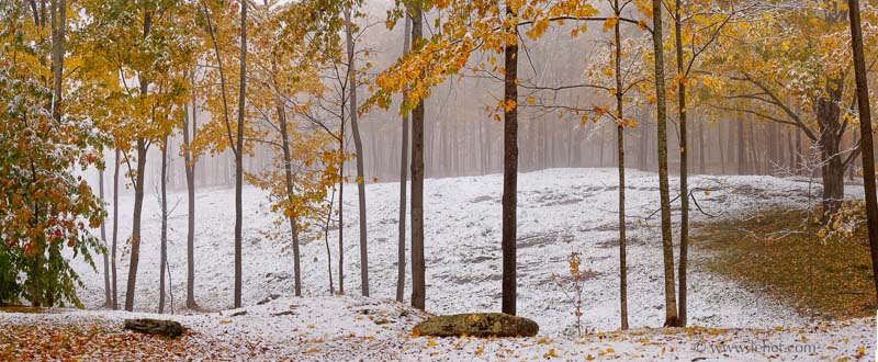 Vermont Snow and Foliage Panorama,Hartland,2009
