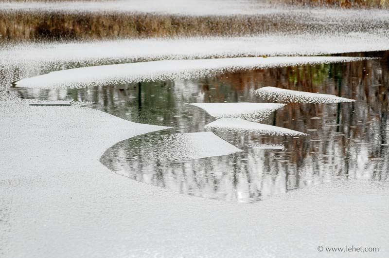 New Ice and Tree Reflections in Rain,2013 II