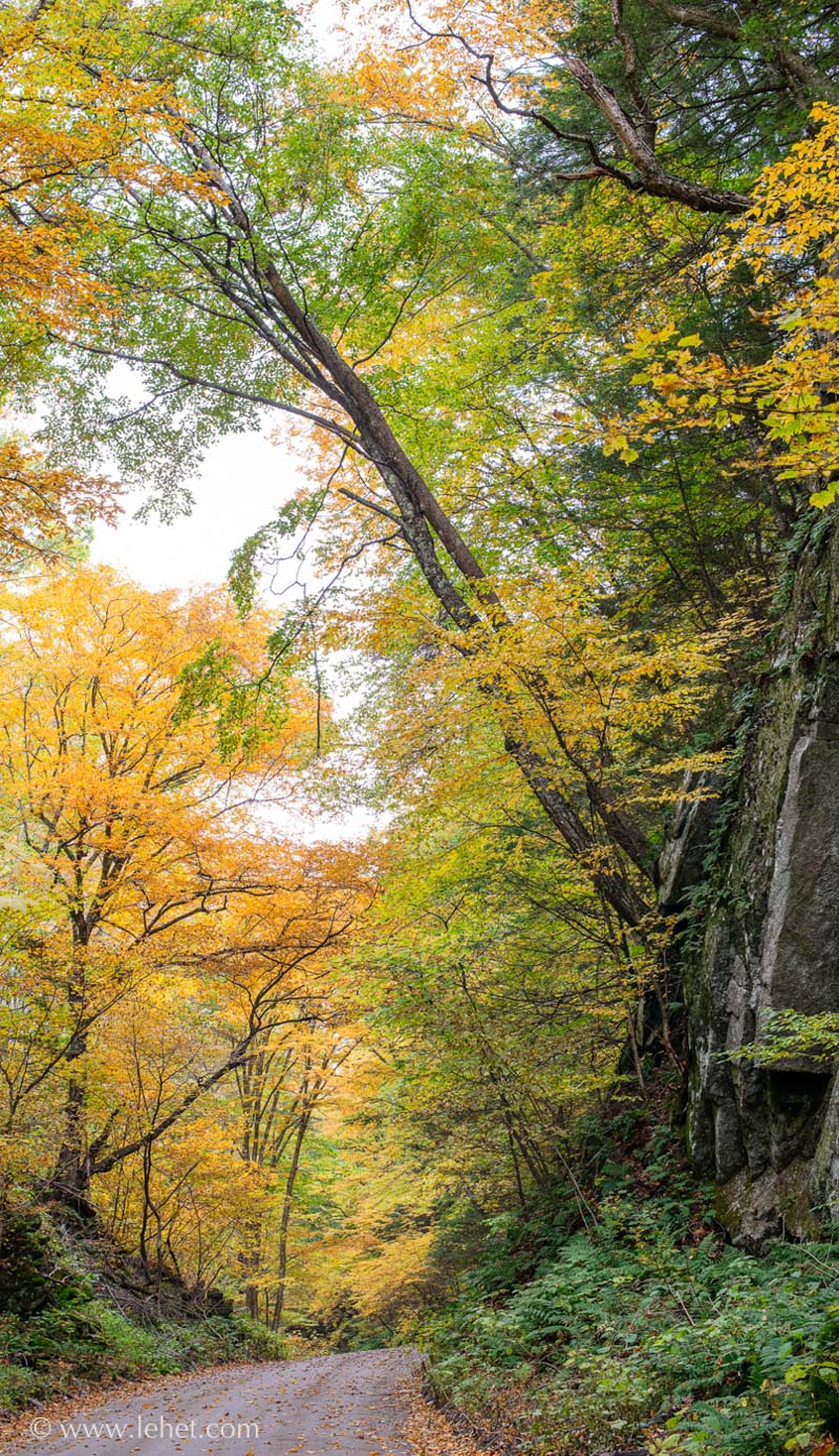 Cliff on an Autumn Road,Vermont