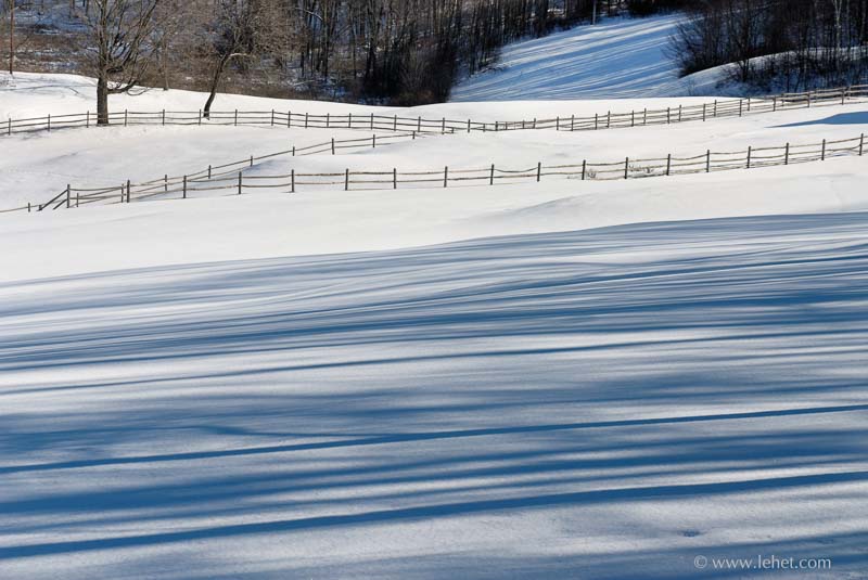 Snow Shadows,Horse Fences,Vermont