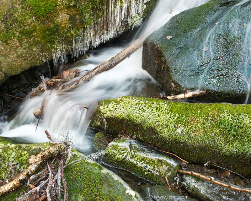 Ice by Mossy Stream,Vermont