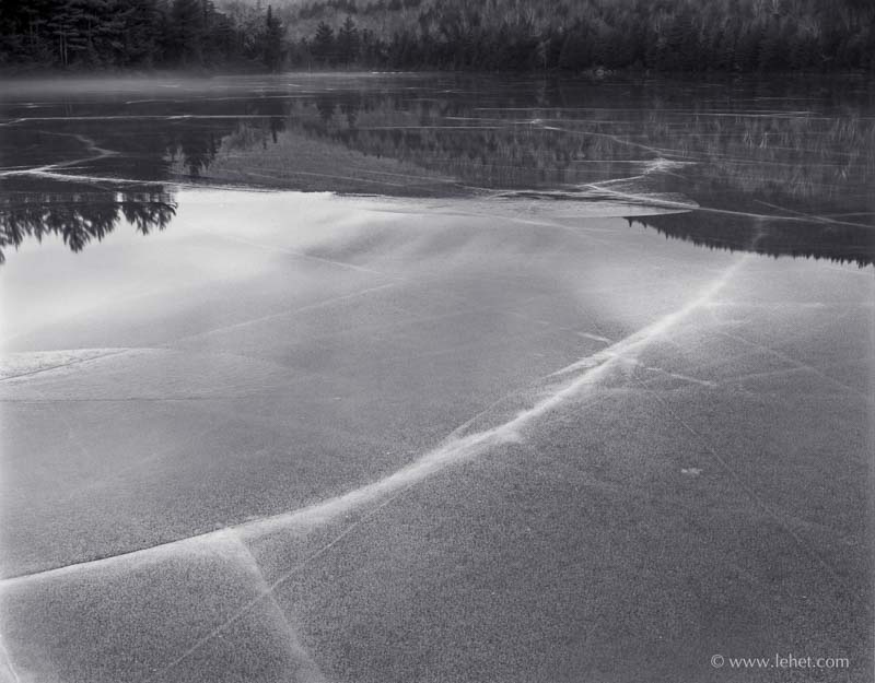 Pout Pond Black Ice, 1983
