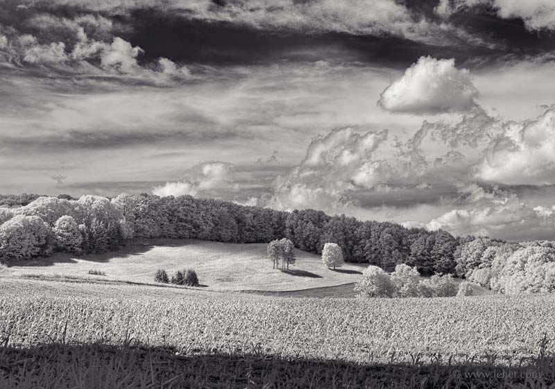 Spring Cornfield, Hay Field, Clouds Hartland Vermont