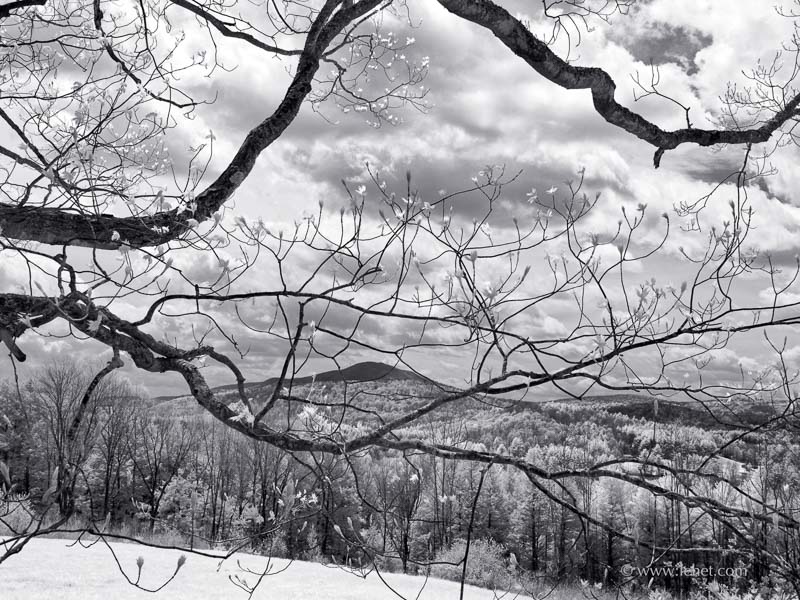 Ascutney Framed by Spring Maple Branches, Hartland VT
