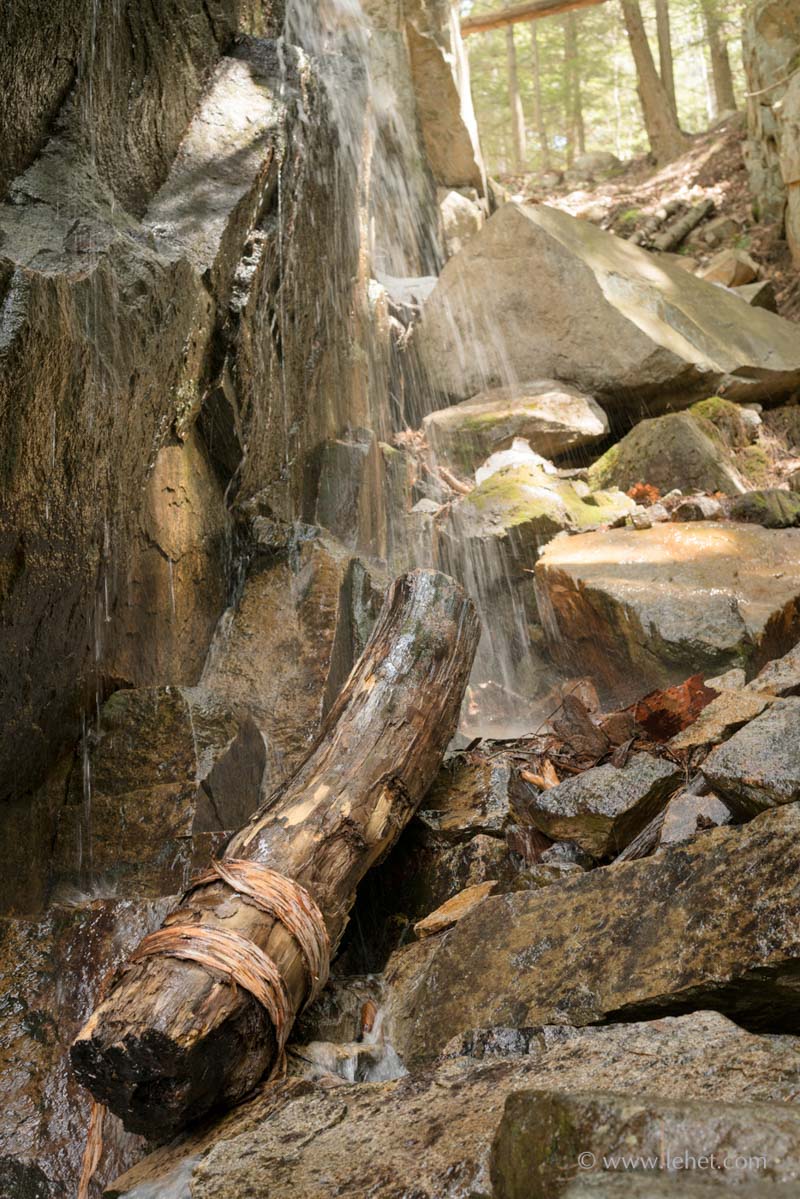 Birch Log by Waterfall Cliff II