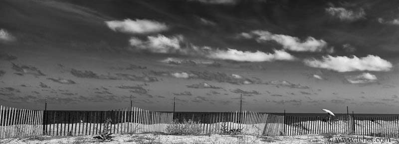 Dune Fence and Umbrella Panorama