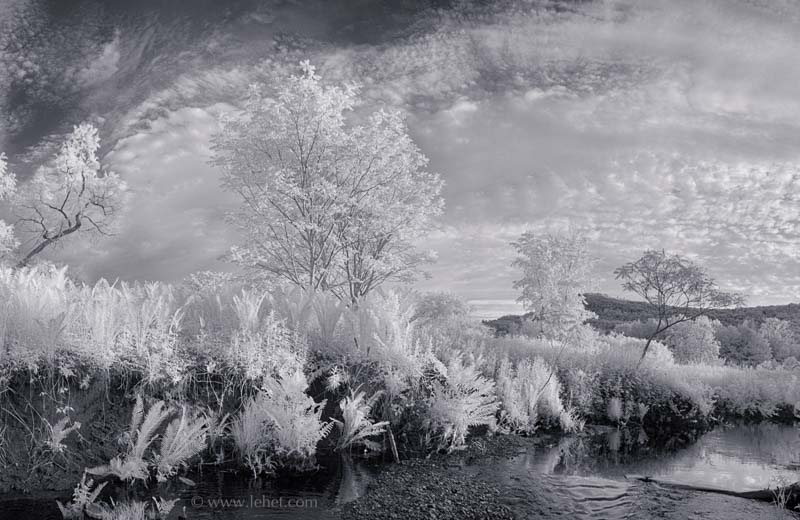 Trout Brook and Ferns Infrared Panorama